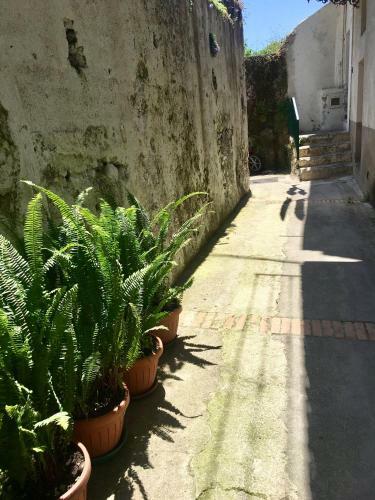 Apartamento La Casetta Di Zia Cuccu
