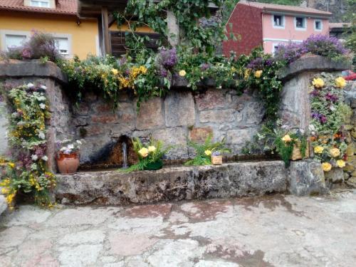 Apartamentos Casas Rurales La Laguna