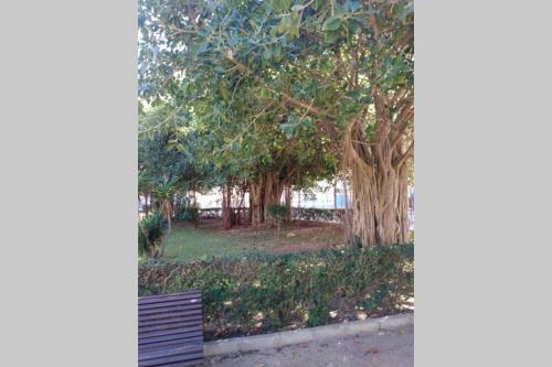 Apartamento Con Vistas Inolvidables