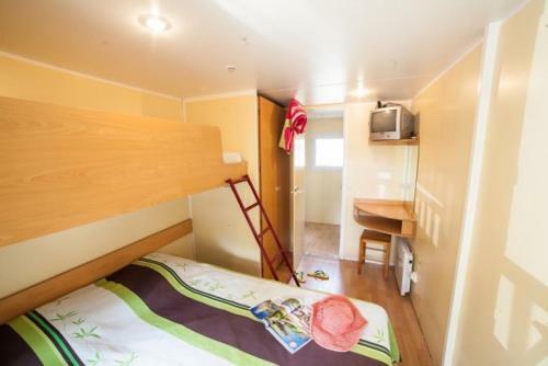 L'oasis