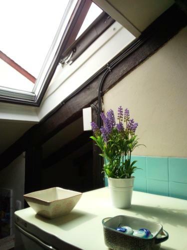 Apartamento �tico En Port Kaneta