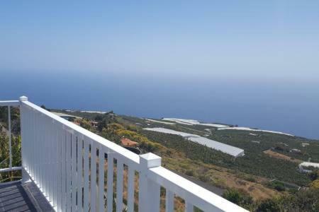 Apartamento Casa Hortensia2