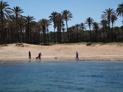 Apartamento Punta Prima Torrevieja Fantazy01