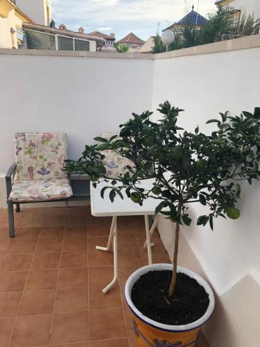 Bungalow In Los Altos (punta Prima)