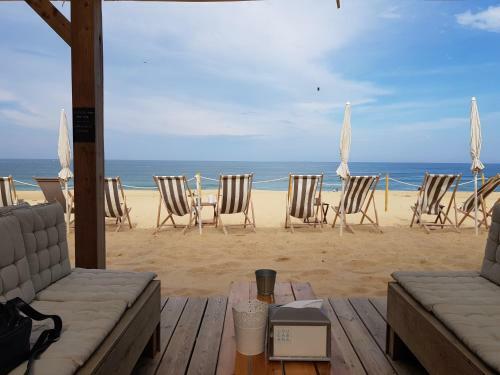 Albergue Shifting Sands Surf Camp