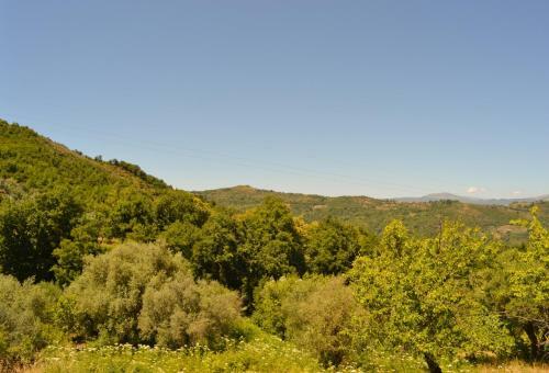 Hostal Casa Vacanze Santa Lucia