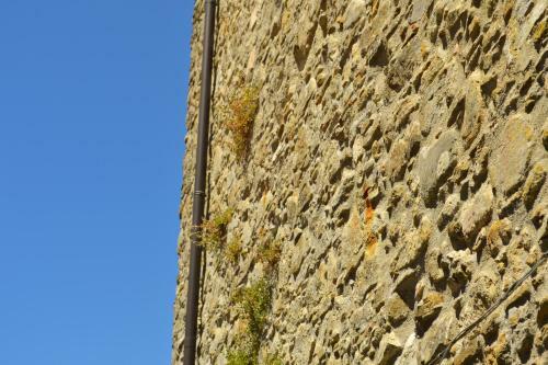 Hostal Casa Vacanze Santa Lucia