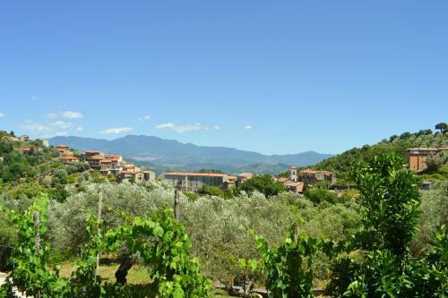 Hostal Casa Vacanze Santa Lucia