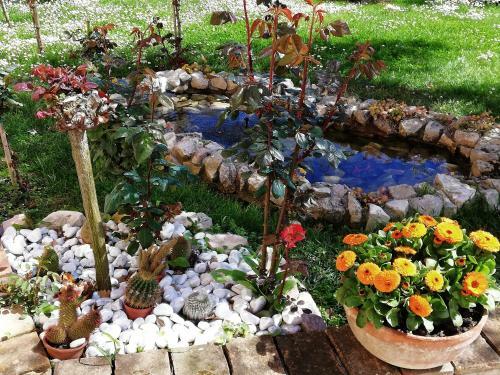 Bed & Breakfast La Ginestra