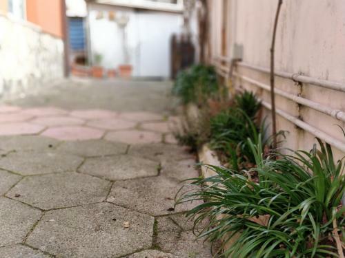 Casa Vacanze Pacific Sirolo