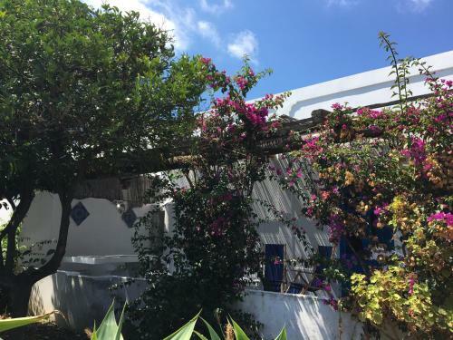 Apartamento Villa In Panarea - Nespolo