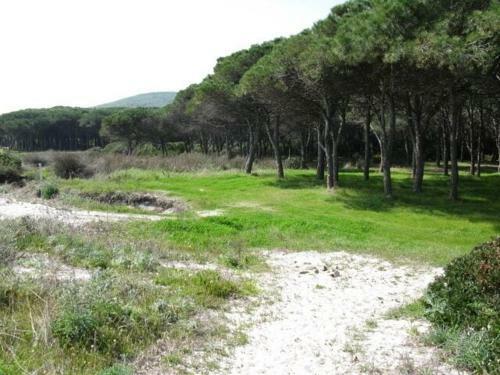 Apartamento Casa Vacanza Autonoma Immersa Nel Verde