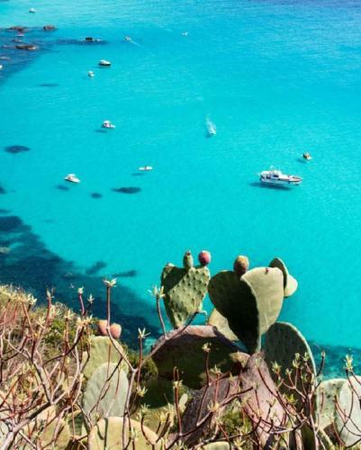 Bed & Breakfast Le Terrazze Capo Vaticano