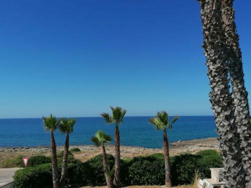 Apartamento Residence Frontemare 1-2-4 Piano Terra E Primo Piano