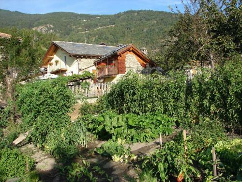 Bed & Breakfast Affittacamere Grand Saint Bernard