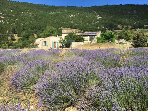 Bed & Breakfast Le Jas Du Mont Ventoux