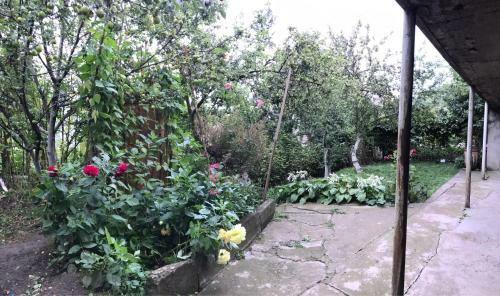 Hostal Samvel's Guest House