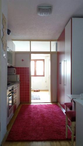 Apartment Vi?njik