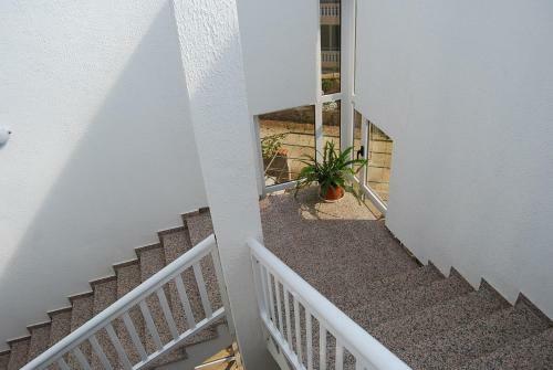 Villa Katarina Apartment