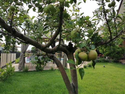 Villa Ku?a Za Odmor Mater