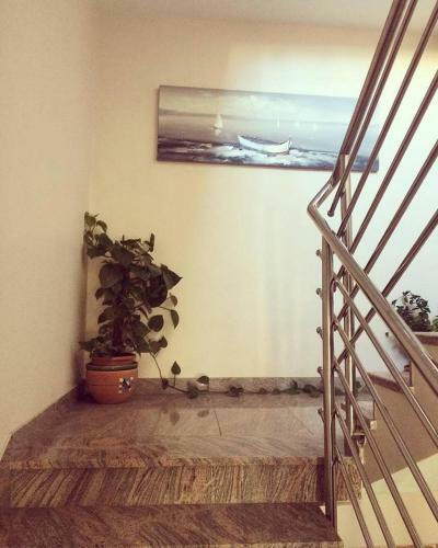 Apartmani Krajnovi?