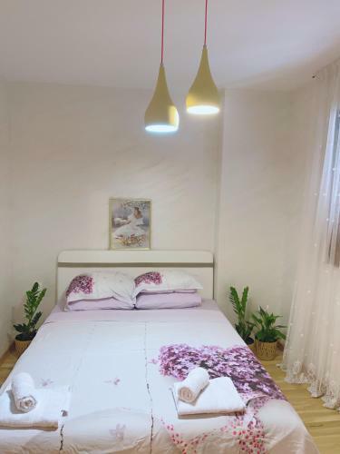 Buddha City Apartment