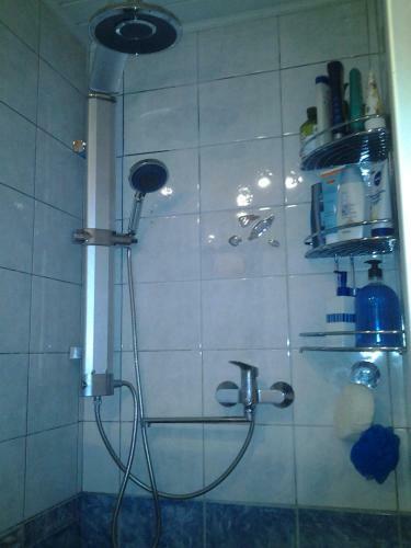 Hostal Dolphin
