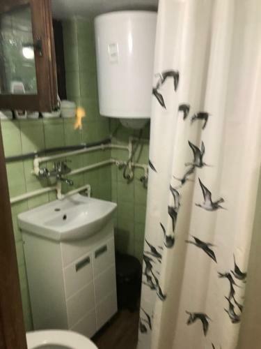 Apartamento Vila Obala Srebrno Jezero