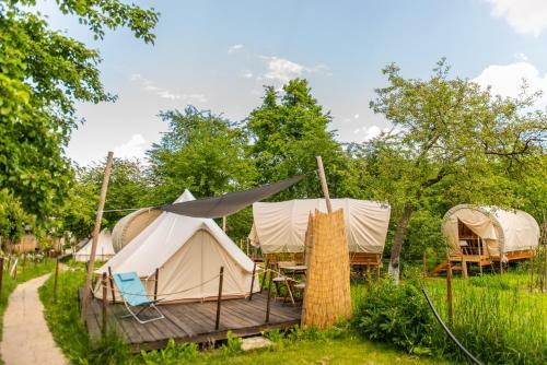 Dragonfly Gardens Urban Glamping Brasov