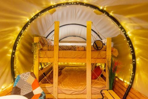 Dragonfly Gardens Urban Glamping Brasov