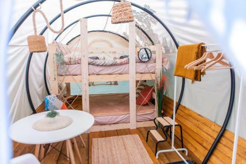 Dragonfly Gardens Urban Glamping Brasov