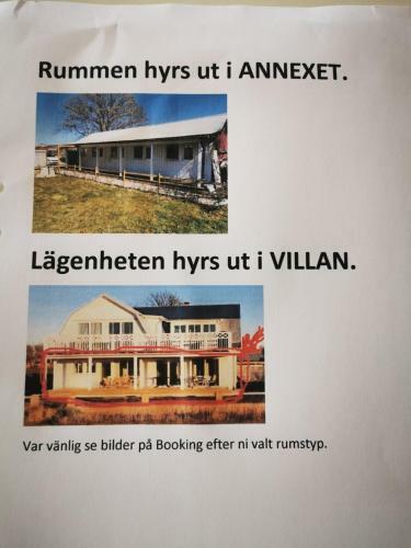 Apartamento Villa Neptuni L�genhet Och Rumsuthyrning