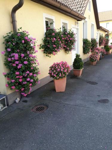 Apartamento Auszeit Leoben 3 Mit Gartenterasse Und Gratisparkplatz