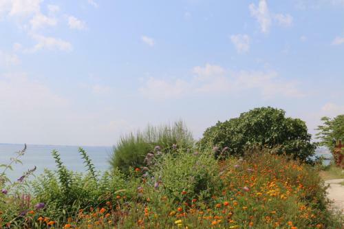 Apartamento Fort Noxs, Sea Together