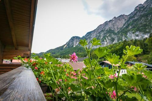 Bed & Breakfast Pension Bergfried
