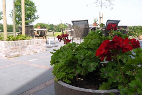 Bed & Breakfast Oranje Hoeve