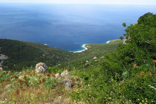 Apartman Biba