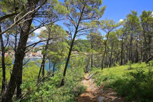 Apartamento Suncokret