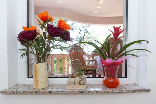 Apartamentos Villa Stefi (30m From The Sea)