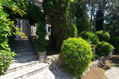Apartamentos Villa Stefi (30m From The Sea)