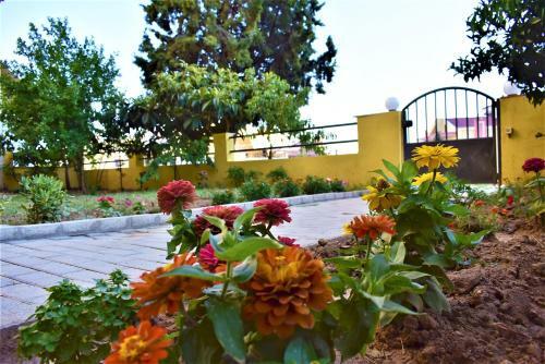 Alexandra 's Cozy Place