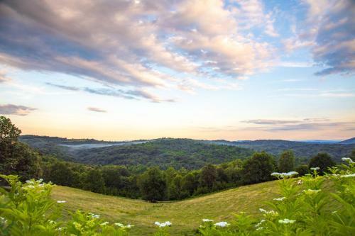 Lodge Holidays - Heart Of Nature