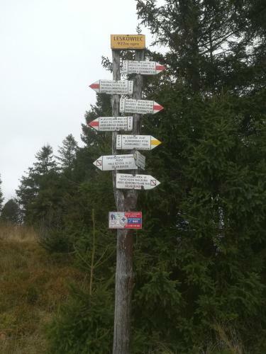 Lodge Domki Letniskowe Pod Lasem