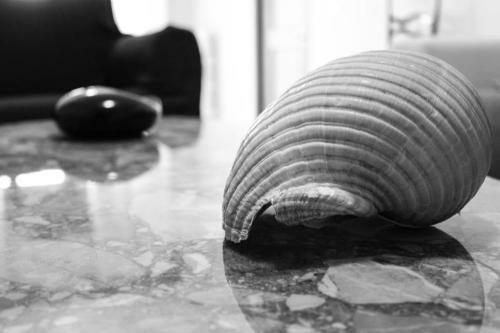 Relax Tra I 2 Mari