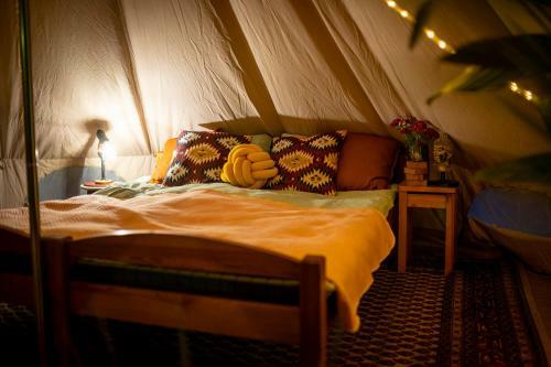 Hostal Pokoje U Basi Glamping Miko?ajki