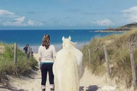 Bulle D'amour � 500 M De La Plage