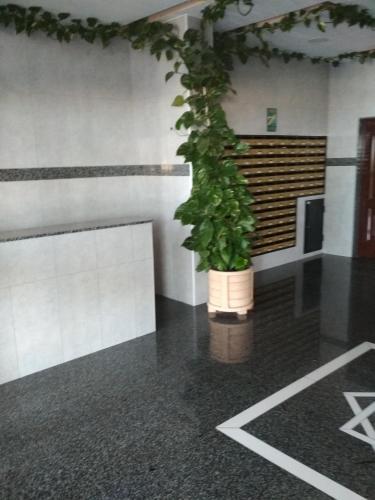Apartamento Perla 5