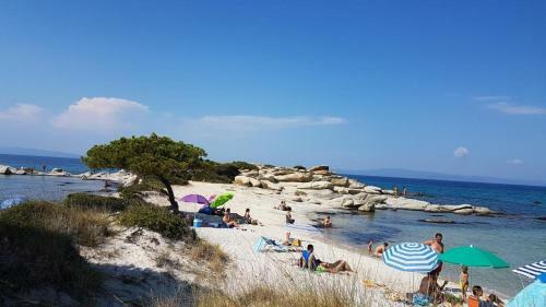 Family Villas