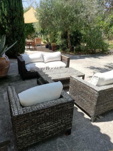 Olive Tree House
