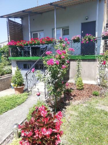 Apartamento Noclegi Na Kazimierza